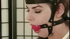 Alexis Taylor bitchy boss