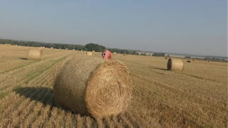 Naked fitness in the field